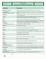 Vista previa - Hojas de trabajo - CLIL - Vocabulary - Structure of a Grassland Ecosystem - página 3