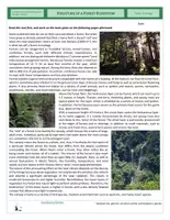 Vista previa - Hojas de trabajo - Ecology - Structure of a Forest Ecosystem - página 1