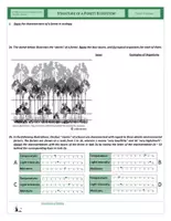 Vista previa - Hojas de trabajo - Ecology - Structure of a Forest Ecosystem - página 2