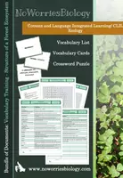 Vista previa - Refuerzo / NEE / Materiales de apoyo - CLIL - Vocabulary - Structure of a Forest Ecosystem - Portada