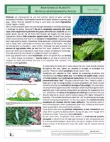 Vista previa - Hojas de trabajo - Ecology - Water as an Environmental Factor in Lake Ecosystems - página 2