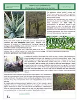 Vista previa - Hojas de trabajo - Ecology - Water as an Environmental Factor in Lake Ecosystems - página 3