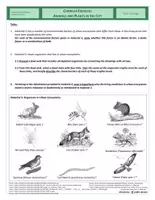 Vista previa - Hojas de trabajo - Ecology - Complex Exercise - Animals and Plants in the City - página 2