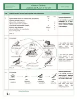 Vista previa - Hojas de trabajo - Ecology - Complex Exercise - Animals and Plants in the City - página 3