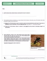 Vista previa - Hojas de trabajo - Ecology - Complex Exercise - Desert Animals - página 3