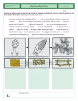 Vista previa - Hojas de trabajo - Cells - Growth in Plant Cells - página 1