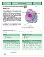 Vista previa - Hojas de trabajo - Genetics - Structure of DNA - página 1