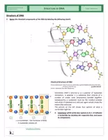 Vista previa - Hojas de trabajo - Genetics - Structure of DNA - página 2