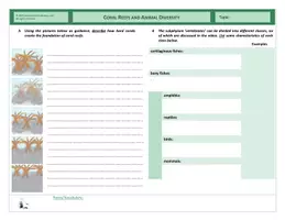 Vista previa - Hojas de trabajo - Coral Reefs and Animal Diversity - página 3