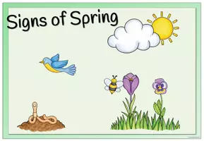 Vista previa - Decoración del aula - Spring - Flashcards and Poster - página 3