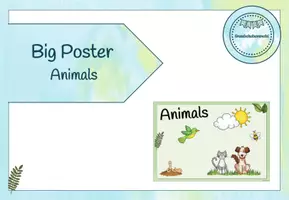 Vista previa - Decoración del aula - Animals - Flashcards and Poster - página 1