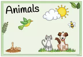 Vista previa - Decoración del aula - Animals - Flashcards and Poster - página 2