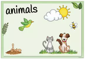 Vista previa - Decoración del aula - Animals - Flashcards and Poster - página 3