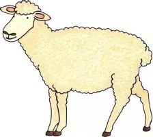 Vista previa - Elementos para la creación de materiales - De la oveja a la lana clipart ilustración garabato - página 3