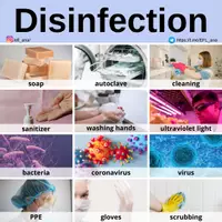Vista previa - Decoración del aula - Disinfection - Portada
