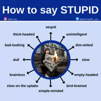 Vista previa - Decoración del aula - How to say STUPID - Portada
