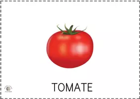 Vista previa - Tarjetas / Manipulativos - Bits de inteligencia: Alimentos (Con nombre) - página 2