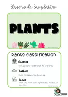 Vista previa - Hojas de trabajo - Llavero de las plantas (versión inglés) - página 1