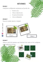 Vista previa - Tarjetas / Manipulativos - ACTIVIDADES Y TARJETAS DE ANIMALES - página 1