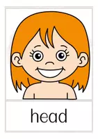 Vorschau - Präsentationen/Tafelbilder - body parts Bildkarten Englisch - Seite 2