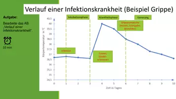 Vorschau - Stundenentwürfe - Verlauf einer Infektionskrankheit - Seite 3