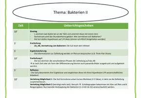 Vorschau - Stundenentwürfe - Vermehrung von Bakterien - Zellteilung - Seite 3