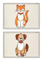 Vorschau - Bildkarten - Bild-und Wortkarten "Pets" - Seite 3