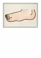 Vorschau - Bildkarten - Bild-und Wortkarten "Body" - Seite 3