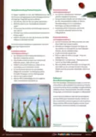 Vorschau - Stundenentwürfe - Materialpaket zum Thema Frühling - Seite 2