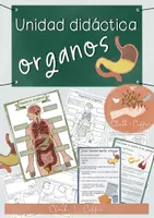 Vista previa - Unidades / Secuencias / Situaciones de Aprendizaje - Órganos unidad didáctica - hojas de trabajo, ensayos, experimentos - Portada