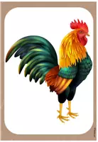 Vorschau - Unterrichtsreihen - Lerntheke Huhn | Materialpaket Kombipaket - Seite 1