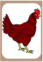 Vorschau - Unterrichtsreihen - Lerntheke Huhn | Materialpaket Kombipaket - Seite 2