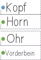 Vorschau - Poster - Tafelmaterial Rind, Bildkarten, Wortkarten, Familie, Körperbau - Seite 2