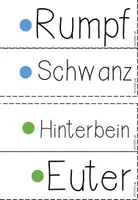 Vorschau - Poster - Tafelmaterial Rind, Bildkarten, Wortkarten, Familie, Körperbau - Seite 3