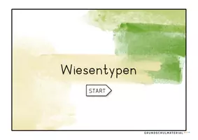 Vorschau - Stationenlernen - Wiesenarten Wissenskartei - Seite 1