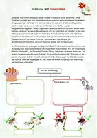 Vorschau - Arbeitsblätter - Symbiose und Parasitismus (Infotexte, Aufgaben und Festigung) - Seite 1