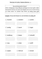 Vorschau - Arbeitsblätter - Das kann ich schon in Deutsch Anfang Klasse 3 Wiederholung - Seite 1