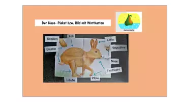 Vorschau - Stundenentwürfe - Haustier 4erSparpaket - Deckblatt