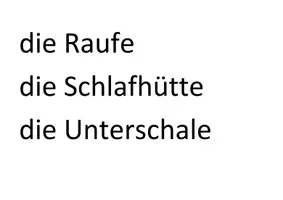 Vorschau - Präsentationen/Tafelbilder - das Meerschweinchen und der Nagetierkäfig - Seite 1
