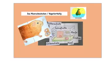 Vorschau - Präsentationen/Tafelbilder - das Meerschweinchen und der Nagetierkäfig - Deckblatt