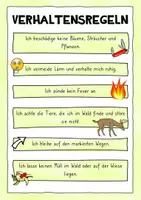 Vorschau - Arbeitsblätter - Interactive - Wald - Seite 2