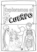 Vista previa - Hojas de trabajo - Portada Nuestro cuerpo - Para clasificadores de hojas & archivadores - página 1