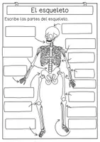 Vista previa - Unidades / Secuencias / Situaciones de Aprendizaje - esqueleto unidad didáctica - Hojas de trabajo, ensayos, instrucciones de artesanía, preguntas de los investigadores - página 3