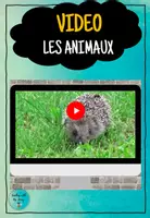 Vorschau - Videos - Vidéo - les animaux (Dis Donc 5 Unité 5) - Deckblatt