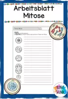 Vorschau - Arbeitsblätter - Mitose - Arbeitsblatt mit Lösungen - Deckblatt