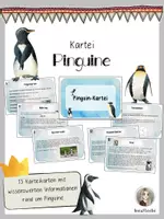 Vorschau - Stationenlernen - Wissenskartei Pinguine - Deckblatt