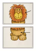 Vorschau - Bildkarten - Bild- und Wortkarten "Wild Animal Bodies" - Seite 1