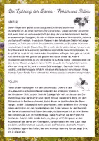 Vorschau - Arbeitsblätter - Info-Text "Nahrung der Bienen" (Nektar und Pollen) - Deckblatt