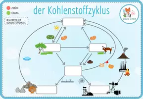 Vorschau - Unterrichtsreihen - Kohlenstoffkreislauf - 9x Aktivitäten und Spiele - Seite 3