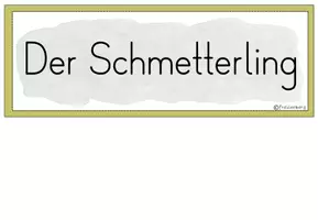 Vorschau - Poster - Tafelmaterial: Körper Schmetterling (Bildkarten) - Seite 1